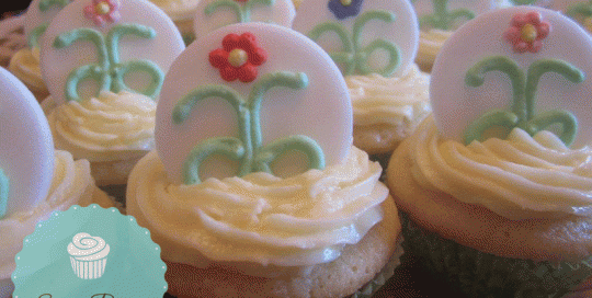 Mini Arbonne Cupcakes, arbonne logo cupcakes