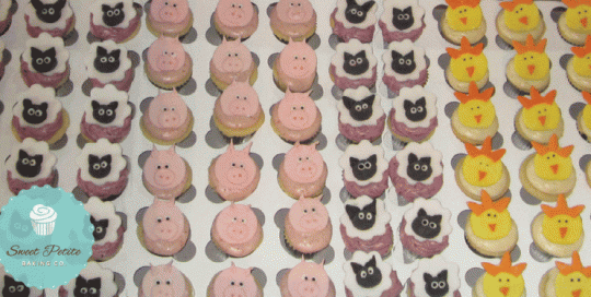 Farm Yard Animal upcakes, fondant sheep, pigs, chicks, chickens, pig cupcakes