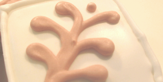 Flourish Sugar Cookies- with natural food dyes